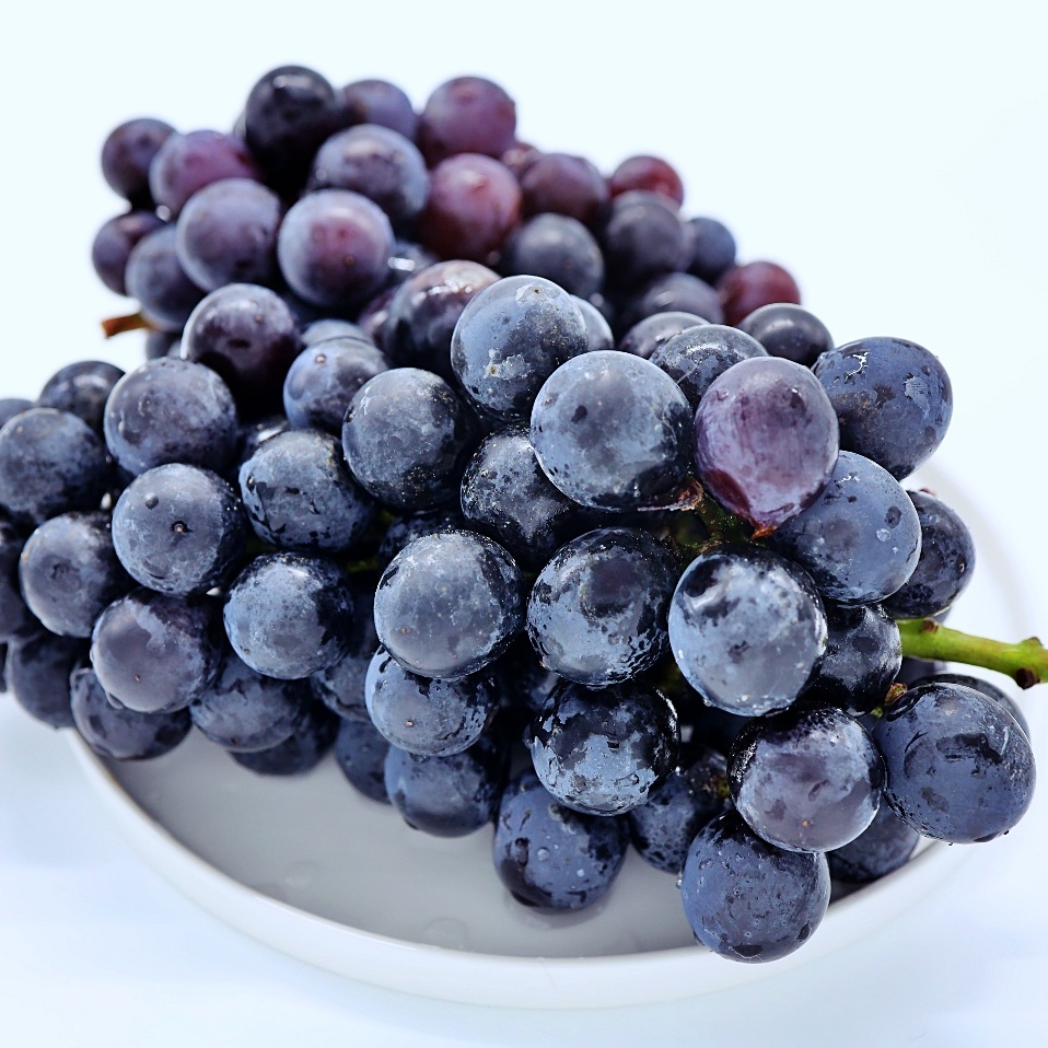 (25 ߼)(ȸ û ֽȸ) °ź 1.5kg / 3kg