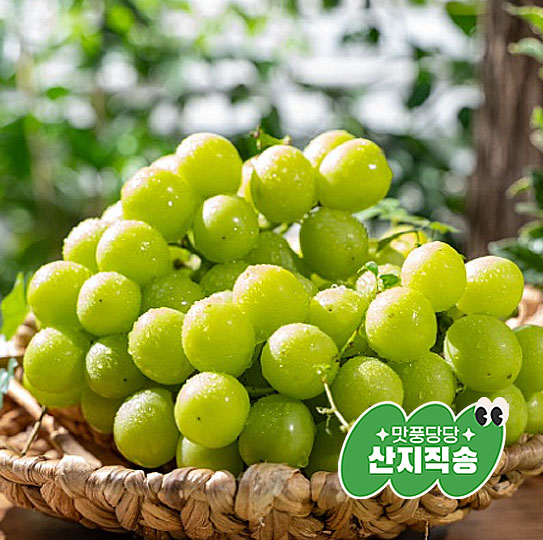 [ǳ  ]θӽĹ 2kg(3) (8 25  )