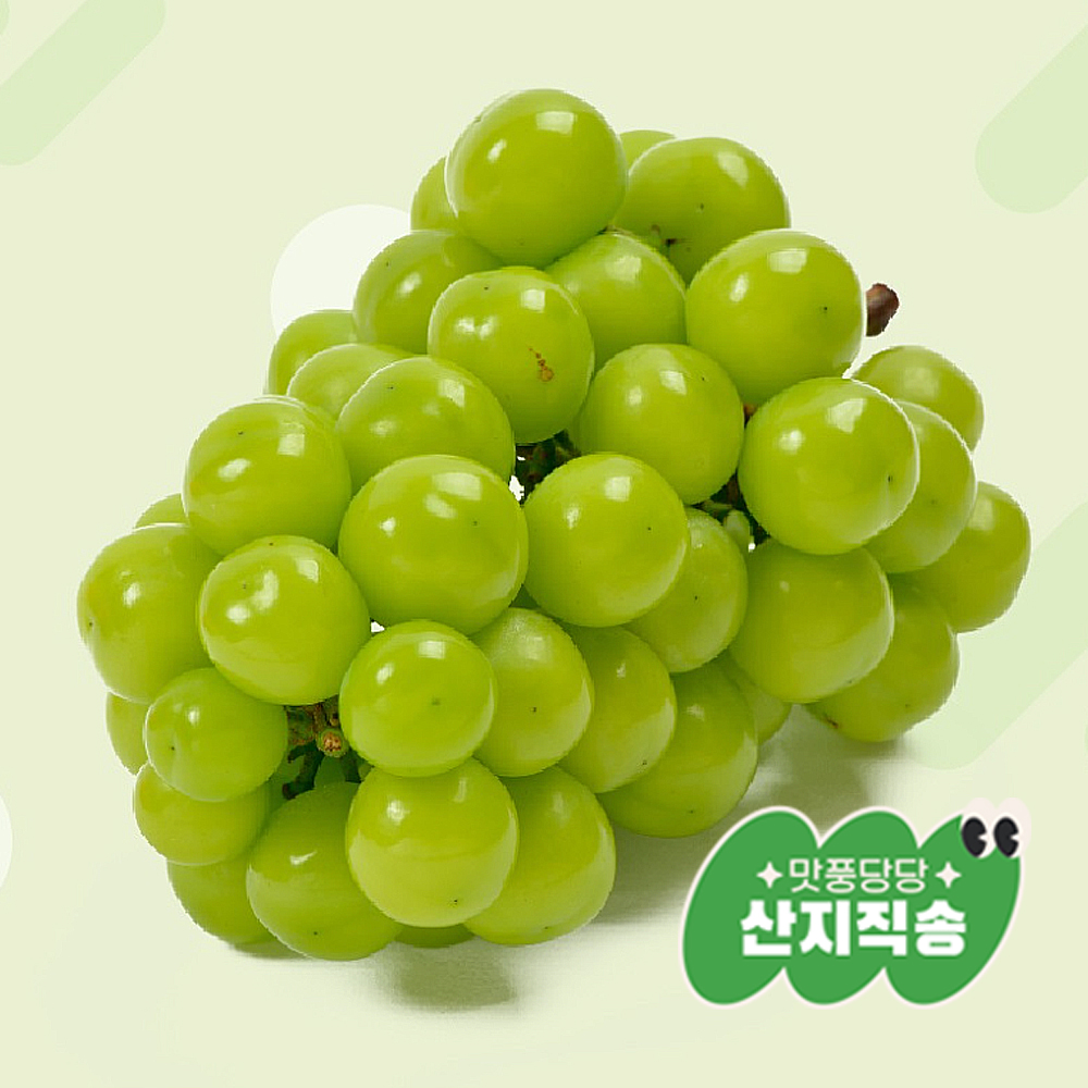 [ǳ   2]θӽĹ 4kg(4~6) (9 15  )