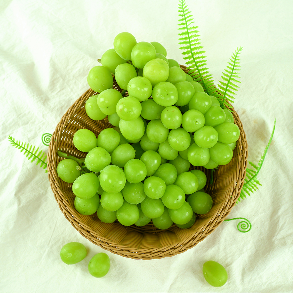 [ǳ  õ] θӽ 4kg(Ư/5~6)