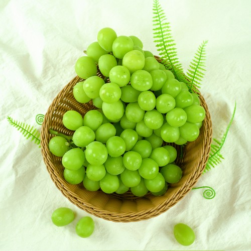 [ǳ  õ] θӽ 4kg(Ư/5~6)