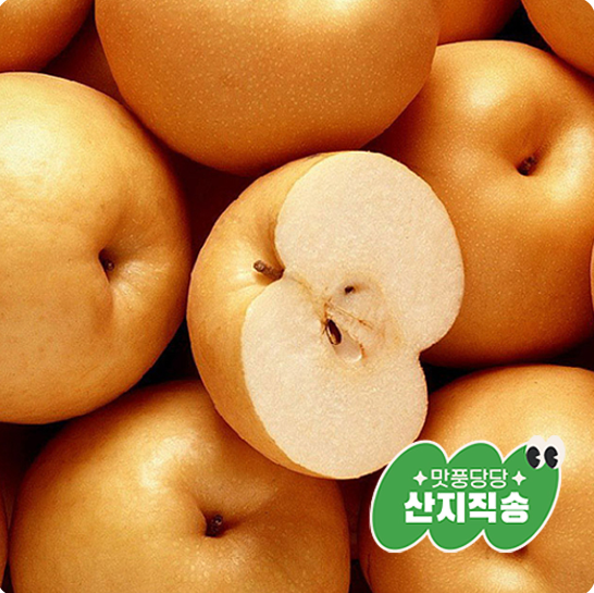 [ǳ ö깰 õ]Ű  ˶ 5kg(5~9)(11Ϻ ߼)