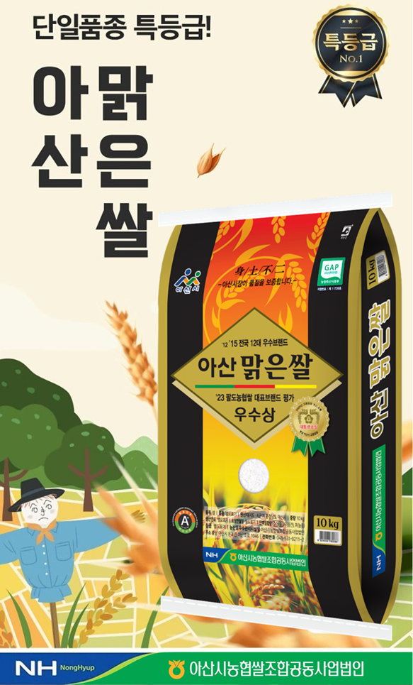 (26년 3월 쌀 사는 날) (아산시농협쌀조합공동사업법인) 2025년 햅쌀 아산맑은쌀 10kg (삼광/특)