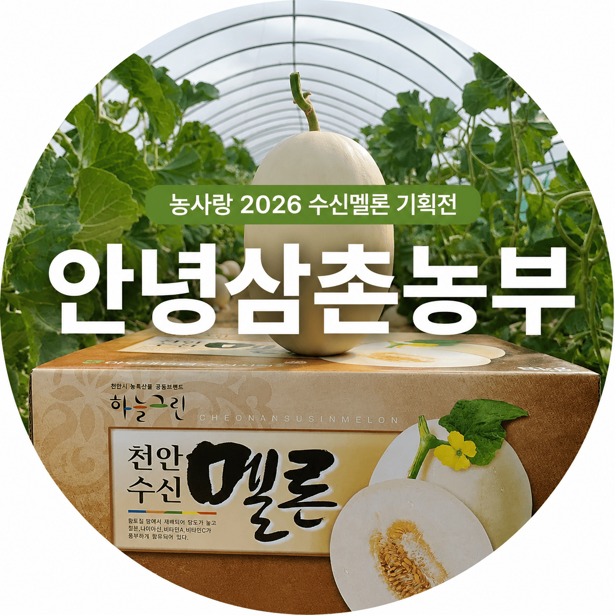[5�� ���Ÿ�б�ȹ��] (�ȳ���̳��)(6�� 10�� �������) 3��° ����ϴ� ���Ÿ�� (5kg / 6.5kg / 8kg)