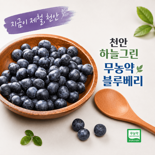[��������ö, õ��]�ϴñ׸� ����� ���纣�� (350g*2) (�Ͻ�ǰ��) 