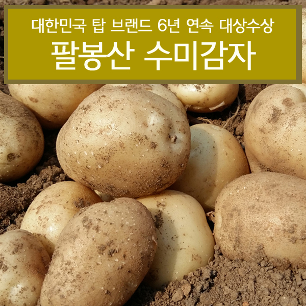 맛풍당당 제철농산물 1-7차[서산] 팔봉산 감자 5kg