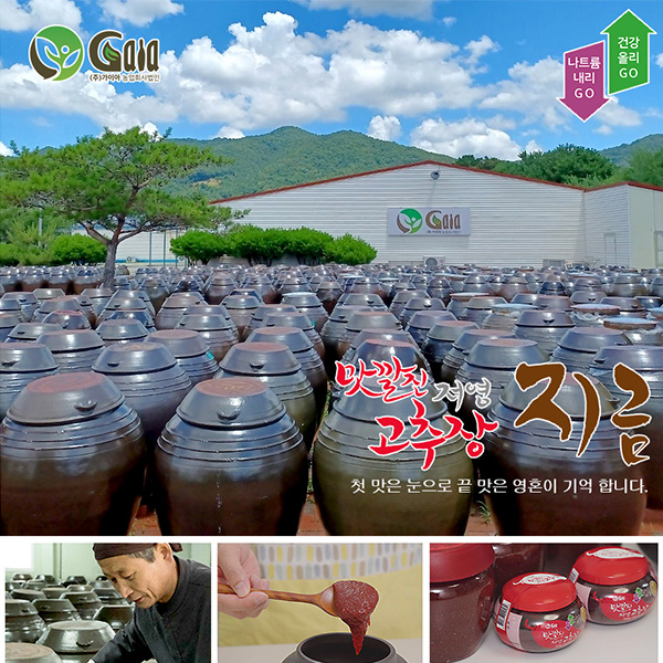 [23 ߼ ]()̾ ȸ    500g / 1kg