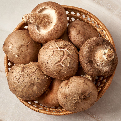 (26�� ��)(�����̳� �����㿡(����)) ��ǥ������ (�Ǽ���/Ưǰ)