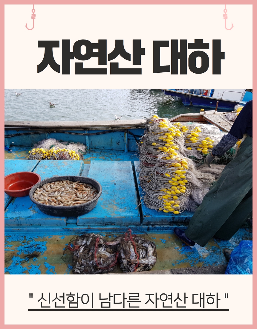 [23 ߼ ][Ǫٴ]ڿ 1kg